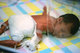 Mathew_baby-55.jpg