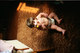 Mathew_baby_e-2.jpg